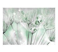 Runa Art Papier peint intissé pissenlit fleurs 352 x 250 cm Toison Mur XXL Tableaux Muraux Tapisserie Photo Décoration Murale Salon Chambre vert 9436011b