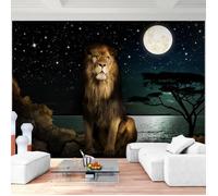 Runa art Papier Peint Intissé Tapisserie Afrique Nuit Lion 308x220 cm (6,8 M2) - 7 Bandes Faciles à Coller 9445010b