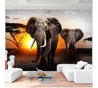 Runa art Papier Peint Intissé Tapisserie Éléphant D'Afrique 352x250 cm (8,8 M2) - 8 Bandes Faciles à Coller 9236011a