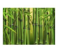 Runa Art Papier Peint panoramique bambou 352 x 250 cm Toison Mur XXL Moderne Décoration Murale Salon Chambre á Coucherr Bureau Salle vert 9097011a