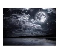 Runa Art Papier Peint panoramique Nuit de pleine lune 352 x 250 cm Toison Mur XXL Moderne Décoration Murale Salon Chambre á Coucherr Bureau Salle Noir et blanc 9116011c
