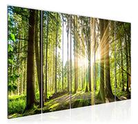Runa Art Peinture Forêt Paysage Impression sur Toile intissee Decoration Murale Salon Chambre 503856b