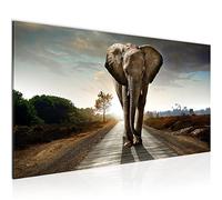 Runa Art Tableau Decoration Murale Afrique Éléphant 1 Partie Moderne Toile non tissée Salon Salle Animaux Marron 042612a