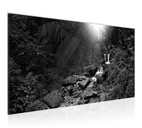 Runa Art Tableau Decoration Murale Forêt Naturelle 1 Partie Moderne Toile non tissée Salon Salle Des arbres Noir et blanc 026412c