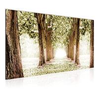 Runa Art Tableau Decoration Murale Forêt Paysage 1 Partie Moderne Toile non tissée Salon Salle Nature Vert 605612c