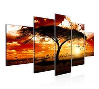Runa Art Tableau mural Afrique Le Coucher Du Soleil 5 Parties Impression sur Toile Intissee Decotation Salon Panorama Orange 001552c