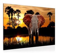 Runa Art Tableau mural Afrique L'Éléphant Moderne Tableau Decoracion Murale - Panorama Savane Orange Salle 001915a