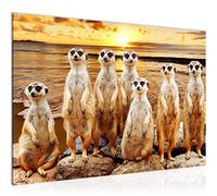 Runa Art Tableau mural Afrique Meerkat Moderne Tableau Decoracion Murale - Mur De Pierre Beige Marron Salle 005515b
