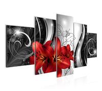 Runa Art Tableau mural Lis Fleurs 5 Parties Impression sur Toile Intissee Decotation Salon Rouge Noir Et Blanc 208452c