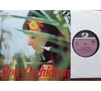 Rundfunkorchester München / Berliner Symphoniker - Dirigent: Werner Schmidt-Boelcke - ABRAHAM, PAUL / Rote Orchideen / Die schönsten Melodien von Paul Abraham / / Bildhülle / MARCATO # 60701 / Deutsche Pressung / 10" Vinyl Langspiel Schallplatte / Rundfunkorchester München / Berliner Symphoniker - Dirigent: Werner Schmidt-Boelcke