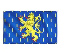 Runesol Drapeau Franche- Comté, 91x152cm, 3ft x 5ft, 4 œillets, œillet dans chaque coin, drapeaux de qualité supérieure, Lion d’or couronné, bourgogne, intérieur, extérieur, couleurs vives