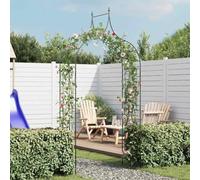 Runheo Arche de Jardin en Fer Vert foncé, Support pour Plantes grimpantes et Roses, Structure Robuste pour terrasse, pergola ou Espace extérieur, Facile à Installer et Stable