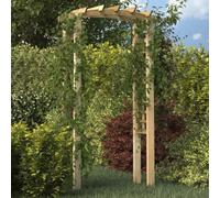 Runheo Arche en Treillis en Bois de pin Massif Vert 110x60x210 cm pour Jardin, Support de Plantes, entrée décorative, pergola ou tonnelle pour Roses et Plantes grimpantes