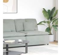 Runheo Canapé modulaire module central avec coussin gris clair velours 100 cm assise cadre en métal coin rembourré élément de fixation pour salon salon extension confort