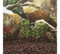 Runheo Roches volcaniques Rouges 10 kg Taille 3-5 cm pour Aquarium décoration Naturel Filtration Biologique Habitat Aquatique et aménagement paysager