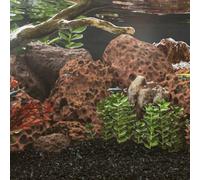Runheo Roches volcaniques Rouges 25 kg 10-30 cm pour Aquarium décor Habitat Plantes Poissons création Relief Naturel Accessoire