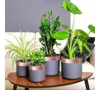 Runheo Ruban en cuivre 6 pcs pour la Protection des escargots et limaces, barrière antiparasitaire résistante aux intempéries, Usage extérieur et intérieur, Bricolage Jardinage