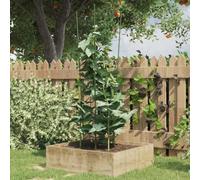 Runheo Supports pour Plantes de Jardin 4 Anneaux de 90 cm en Acier Vert 5 pièces pour tomates, Fleurs, légumes grimpants, en Pot ou en Pleine Terre, Structure Robuste pour Croissance Saine