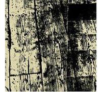 Runner And The Thermodynamics