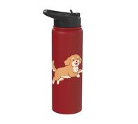 Running Cavapoo Dog Breed Mom Pet Lovers Owner Stainless Steel Insulated Water Bottle