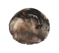 Running of the Horses Bonnet de douche pour femme, imperméable, réutilisable, avec cordon élastique lavable, adapté aux cheveux longs et aux tresses, idéal pour la douche.