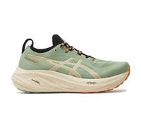 Running Shoes Asics GEL-NIMBUS 26 TR Chaussures de course hommes 1011B849-250