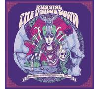 Running The Voodoo Down: Explorations In Psychrock