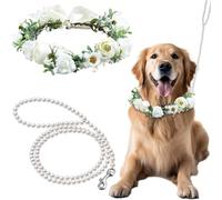 runrayay Ensemble Collier et Laisse pour Chien avec Perles, 120 cm, 1,2 m, pour Animaux de Moins de 12 kg