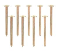 RUNROTOO 10pcs Piquets D'arpentage en Galvanisation Or, Multi-Fonctionnels et Réutilisables, Clous à Tête Plate pour Points de Mesure et Observation Extérieure