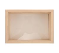 RUNROTOO Boîte de présentation pour collection d'insectes - 21 x 14,5 x 6 cm, couvercle transparent, idéale pour les spécimens de, la conservation d'insectes, les créations, ou comme cadre photo