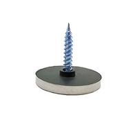 Runxingfu Acier Inoxydable Miroir Vis - 12 Pièces 12-30mm Miroir Clous avec Décoratif Capuchons Couverture Raccords Quincaillerie pour Miroir Signe Publicité