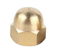 Runxingfu Dôme Écrous - M3 M4 M5 M6 M8 M10 M12 M16 M20 Métal Cuivre Hex Écrous À Capuchon Hexagone Dôme Boulon Écrou Couvercle de Protection Vis Capuchons