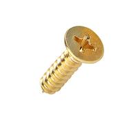 Runxingfu Tête Fraisée Taraudage Vis a Bois - M2 M3 M3.5 Laiton Tête Cruciforme Vis Autotaraudeuse 10/100 Pièces Tête Plate Allongé Vis a Bois