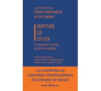 Rupture de stock: Comprendre le cadre du défi énergétique, Les manifestes du LIED, tome 1