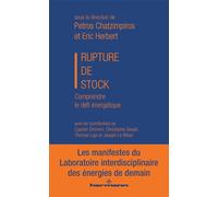 Rupture de stock Comprendre le défi énergétique, Les manifestes du LIED, tome 1 - Collectif - Hermann - broché - Essai