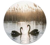 Rural Scenery 1000 Pièces Puzzle Amusant, Stimulant Et Stimulant Cadeaux pour La Famille Et Les Amis Jeu Créatif Puzzle pour Adultes 1000pcs (67.5x67.5cm)