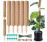 RURIZHONGTIAN 5 pièces de support de liane Monstera 42 cm, bâton de mousse flexible en fibre de coco, stabilisation Monstera, support de liane en fibre de coco, poteau de