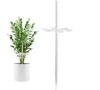 Rurunklee Tige de support pour plantes - En acrylique transparent - Pour légumes, fleurs, vignes, orchidées, rosiers