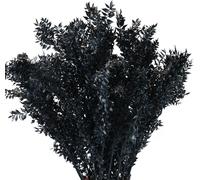 Ruscus épineux en noir pour des décorations variées et impressionnantes