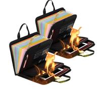 Rushclick File Folder, Large Capacity A4 Fireproof File Folder with Handle, fireproof file folder, with 26 Pocket, Detachable and Portable (With handle*2)