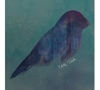 What Remains of Edith Finch/Colore Marron
