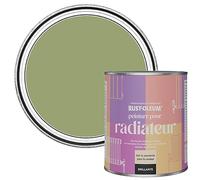 Rust-Oleum Peinture Verte Résistante à la chaleur pour Radiateur, Finition Brillante Gris - Terrain Connu 750ml