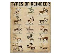 Rustic Types Of Reindeer Metal Sign Reindeer Knowledge Guide Poster for Home Kitchen Cafe Bar Wall Decor Christmas Decor Tin Art 8 X 12 inch