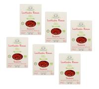 Rustichella d'Abruzzo | Céleri de Lentilles Rouges | Pâtes Courtes Farine Lentilles Rouges Bio Sans Gluten - 6 x 250 Gr | Pâtes Italiennes Artisanales Végétaliennes Riches Fibres