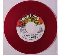 RUSTIX - we all end up in boxes / mono 45 rpm single
