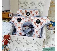 Rusty Bear Harnais pour Chien Taille L