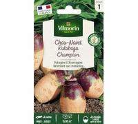 Graines - Vilmorin - Rutabaga Champion (à Collet Rouge) - Légumes d'Autrefois