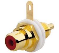 Rutenbeck 17000304 Adaptateur femelle, droit 1 pc(s)