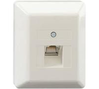 Rutenbeck Prise réseau montage apparent (en saillie) 1 port blanc