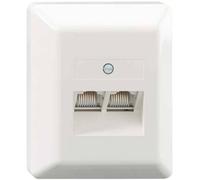 Rutenbeck UAE 2x8(8) Ap rw Prise réseau montage apparent (en saillie) insert avec plaque centrale et châssis CAT 3 blanc pur